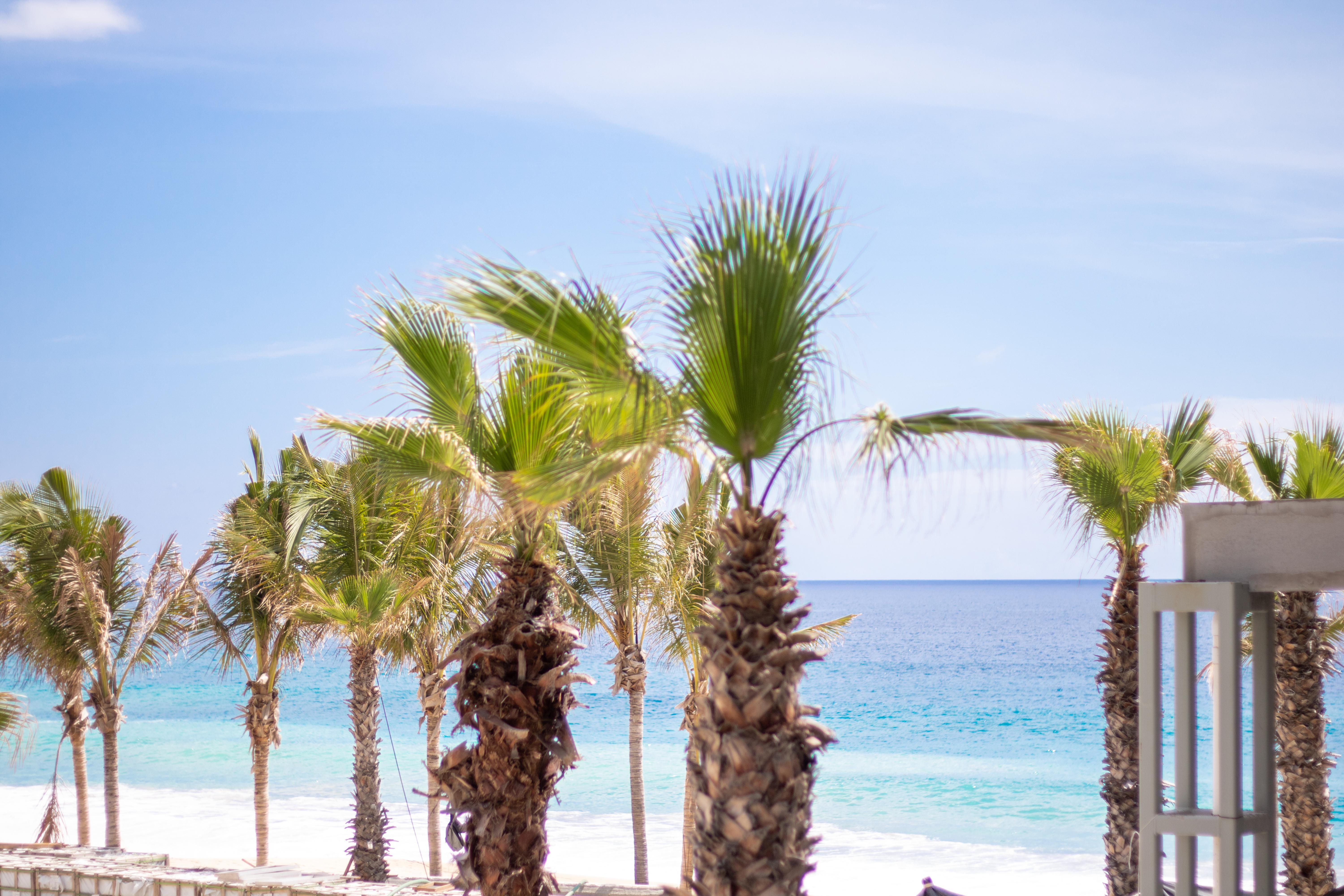 Garza Blanca Resort & Spa Los Cabos Cabo San Lucas Exteriér fotografie